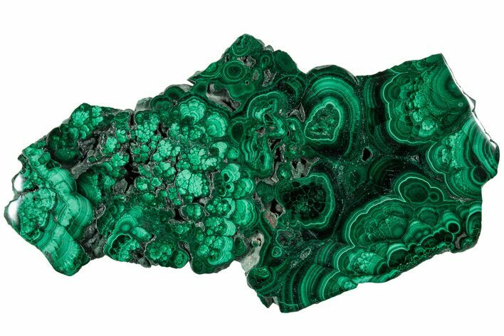 Polished Malachite Slab - Congo #229687